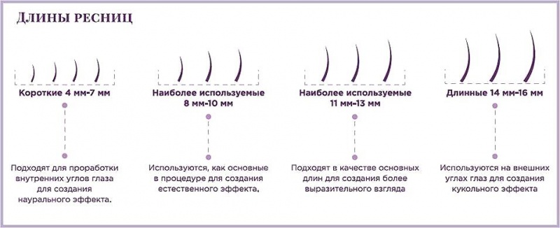 Виды изгибов ресниц для наращивания