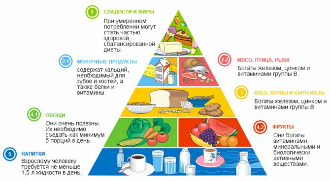 Правильное питание