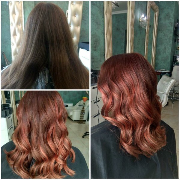 salongemma | социальные сети