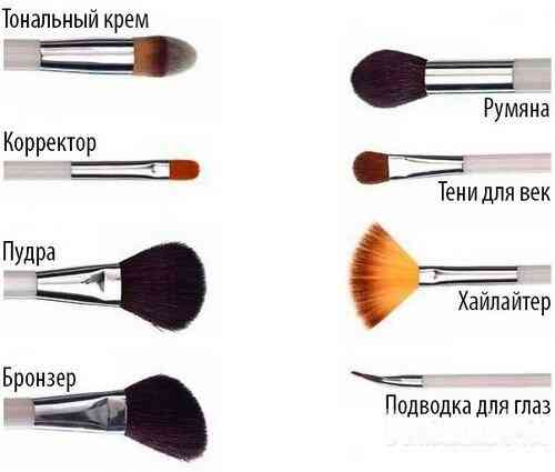 Выбираем идеальные кисти для макияжа: разбираемся в разнообразии видов () Выбираем идеальные кисти для макияжа: разбираемся в разнообразии видов